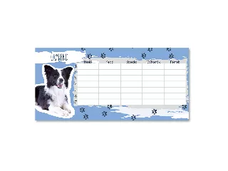 Ars Una Cuki állatok-Border collie órarend