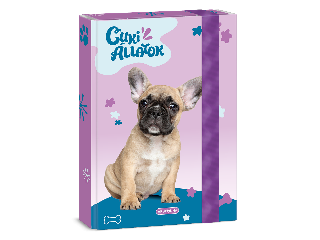 Ars Una Cuki állatok-Francia bulldog A/5 füzetbox