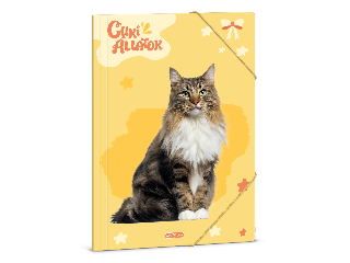 Ars Una Cuki Állatok-Norvég erdei macska A/4 gumis dosszié