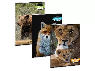 Ars Una Máté Bence Spirit of Nature A/4 extra kapcsos füzet-vonalas
