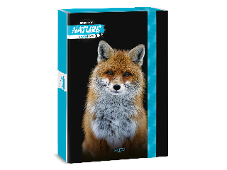 Ars Una Máté Bence-Fox A/4 füzetbox