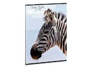 Ars Una Máté Bence  A/5 extra kapcsos füzet-sima Zebra