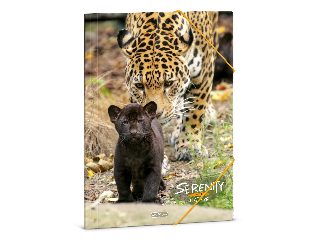 Ars Una Serenity-Jaguar A/4 gumis dosszié