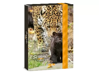 Ars Una Serenity-Jaguar A/5 füzetbox