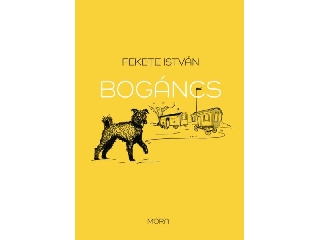 Bogáncs - felújított sorozat