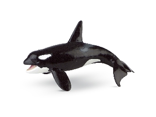 Bullyland Kardszárnyú delfin 