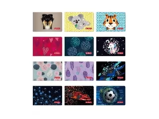 Diákigazolványtartó koalás  ,puha, 10 kártyához