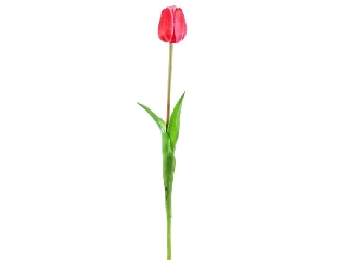 Élethű tulipán 47 cm bíbor