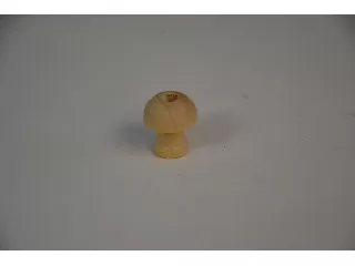 Fa zsinórvég gomba 2,3 cm 10 db/cs
