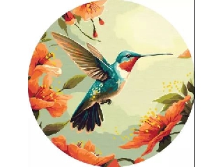 Festés számok szerint: Színes kolibri - 39 cm