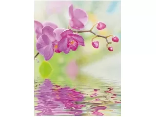 Gyémántfestés Orchidea 30x40cm