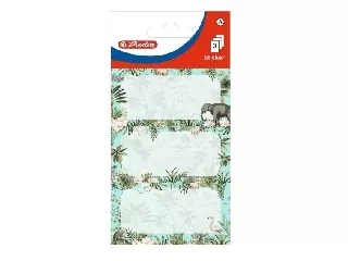 Iskolai etikett/9 Tropical