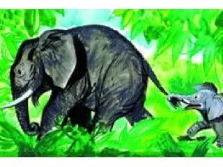Jumbo egy kis elefant kalandja diafilm