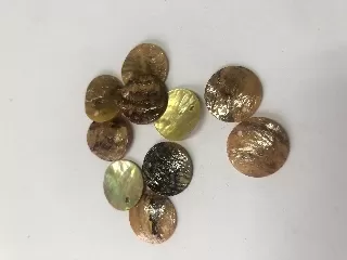 Kagyló medál  kerek 1,5cm vékony 10db/cs sárga