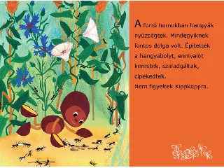 Kippkopp a fűben diafilm