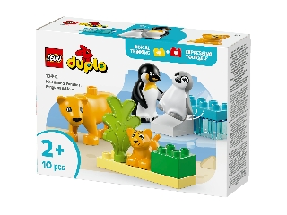 LEGO DUPLO Town 10442 Állatcsaládok a vadvilágban: pingvinek és oroszlánok