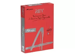 Másolópapír, színes, A4, 80 g, REY 
