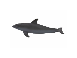 Mojo Delfin figura