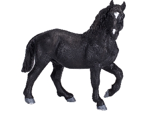 Mojo Percheron ló