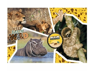 National Gegraphic Wilflife kalandor 104 db-os puzzle