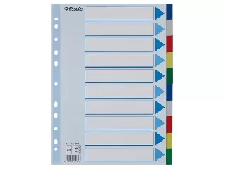 Regiszter, műanyag, A4, 10 részes, ESSELTE