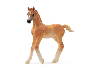 Schleich Arab csikó