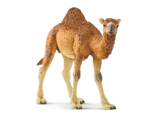 Schleich Dromedár