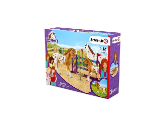 Schleich Horse Club: Lisa edzése versenyre 42433