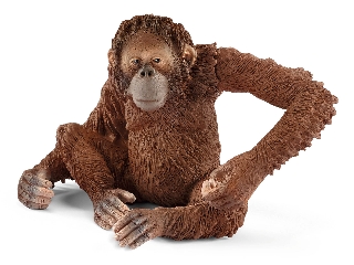 Schleich Orangután nőstény