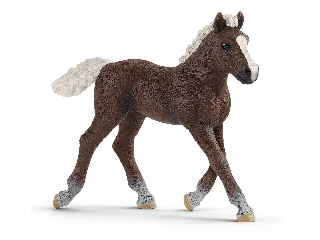 Schleich Schwarzwaldi csikó