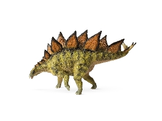 Stegosaurus