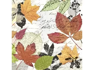 Szalvéta 25x25 cm 20db/cs - Paper+Design Ősz