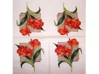 Szalvéta 33*33 cm 20 db/cs - TIFlair Tulipán