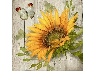 Szalvéta Paper+Design 33*33 cm 20 db/cs Napraforgó