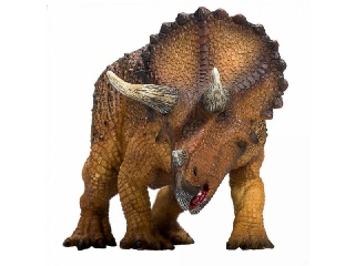 Triceratops XXL